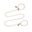 Adjustable Slip-On Dog Leashes - Lightweight and Comfortable Training Leads for Pets 3.35cm*8mm (Coffee, 2 pieces)