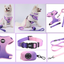 S Crushed Black Adjustable Soft Pet Harness with Leash & Poop Bag Dispenser