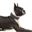 Size L Brown 1 pack Stylish PU Leather Dog Collar with Spikes - Adjustable, Durable & Comfortable for Medium to Large Breeds