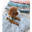 Blue Plush Pet Mat for Dogs and Cats - 70x100cm, Anti-Slip, Warm and Cozy for Autumn and Winter