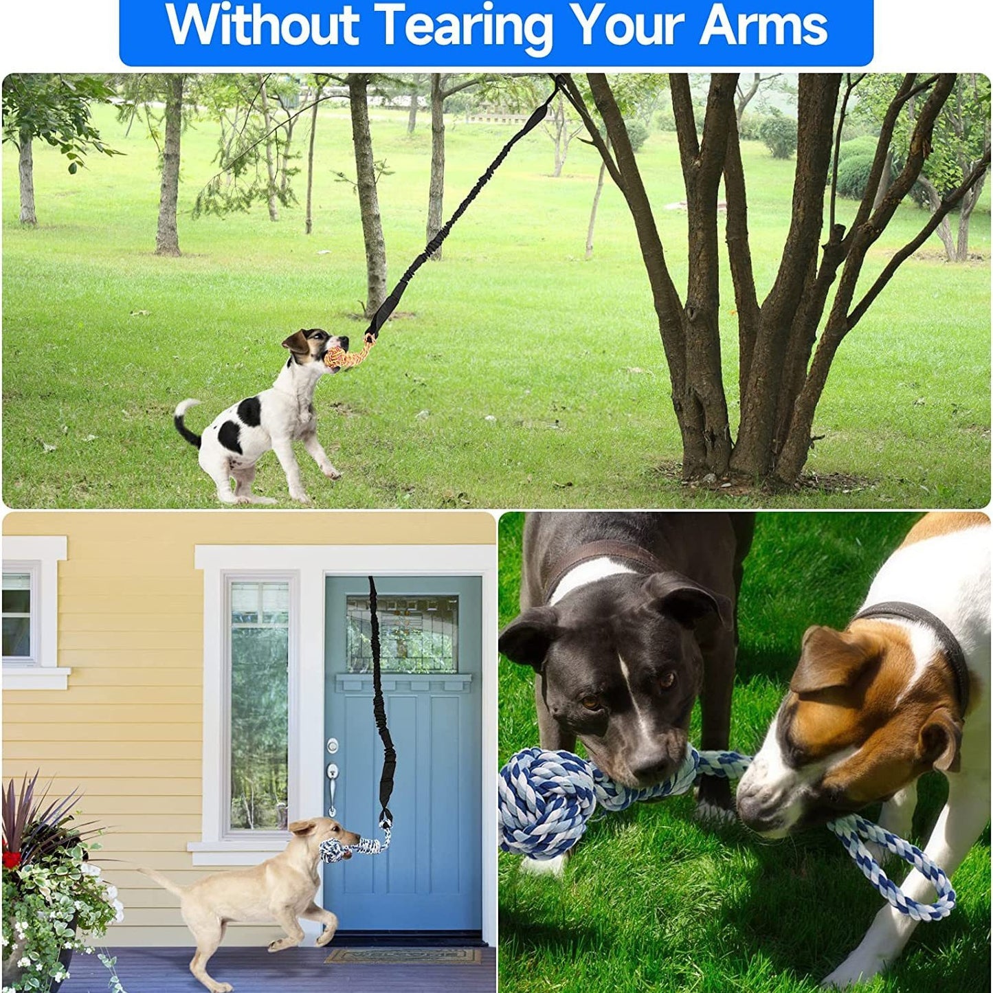 Red And Colored Cotton Balls Interactive Bungee Dog Tug Toy - Hanging Rope Ball for Solo Play & Exercise