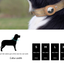 S Red Secure Nylon Dog Collar with Built-in Apple AirTag (not included) Holder Case - Pet Tracker Accessory