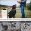 S Red Secure Nylon Dog Collar with Built-in Apple AirTag (not included) Holder Case - Pet Tracker Accessory