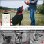 XL Red Secure Nylon Dog Collar with Built-in Apple AirTag (not included) Holder Case - Pet Tracker Accessory