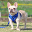 Blue Reflective Mesh Dog Harness and Leash Set - Adjustable No-Pull Vest - M