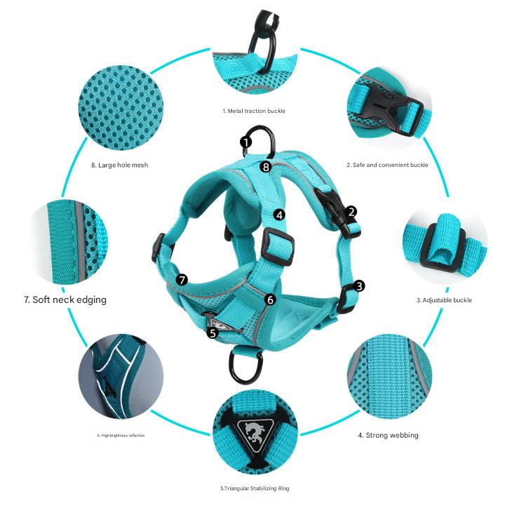 Blue Reflective Mesh Dog Harness and Leash Set - Adjustable No-Pull Vest - XL
