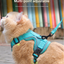 Grey Reflective Mesh Dog Harness and Leash Set - Adjustable No-Pull Vest - M