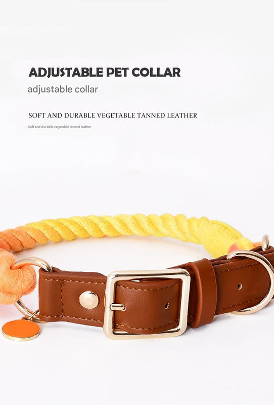 Premium Leather Pet Collar and Leash - Soft, Strong Braided Rope (Honey orange - Size L)