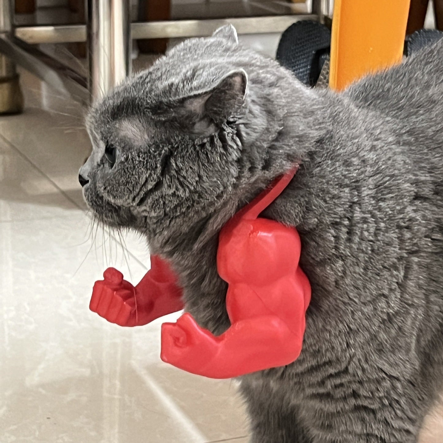 Muscle Arm Pet Costume Blue - View 9