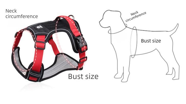 Blue M Adjustable No-Pull Dog Harness and Leash Set - Reflective & Padded Vest for Medium to Large Dogs