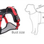Blue L Adjustable No-Pull Dog Harness and Leash Set - Reflective & Padded Vest for Medium to Large Dogs