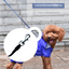 Blue 3-in-1 Retractable Dog Leash with LED Flashlight and Waste Bag Dispenser 5m Nylon Lead for Dogs up to 20kg Essential Pet Walking Gear