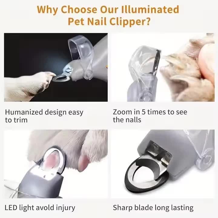 Illuminated Pet Nail Clippers with LED Light & Magnifier - Safety Claw Trimmer for Dogs & Cats - Lightweight Plastic Handle - Grey/Orange in Retail Box