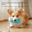 Perple Slipper-Style Dog Toy — Suction Cup Design: Durable, Chew-Resistant Teether for Mental Stimulation, Independent Play, and Energy Expenditure — Pet Dog Chewing Toy