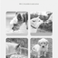 White 600ml Portable Dog Water Bottle  - Leak-Proof Pet Travel Water Dispenser, Cloud-Shaped Drinking Bowl, Twist-to-Dispense Design, BPA-Free HIPS/PET Material for Walking Hiking Travel