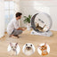 VEVOR Cat Exercise Wheel, 31.5 in, Large Cat Running Wheel with Secure Brake & Carpeted Runway, Quiet Operation Cat Treadmill, Indoor Cats Exerciser Wheel for Pets Weight Loss & Health White