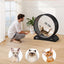 VEVOR Cat Exercise Wheel, 31.5 in, Large Cat Running Wheel with Secure Brake & Carpeted Runway, Quiet Operation Cat Treadmill, Indoor Cats Exerciser Wheel for Pets Weight Loss & Health Black
