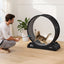 VEVOR Cat Exercise Wheel, 31.5 in, Large Cat Running Wheel with Secure Brake & Carpeted Runway, Quiet Operation Cat Treadmill, Indoor Cats Exerciser Wheel for Pets Weight Loss & Health Black