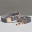 Strong dog collar for everyday walking in Australia