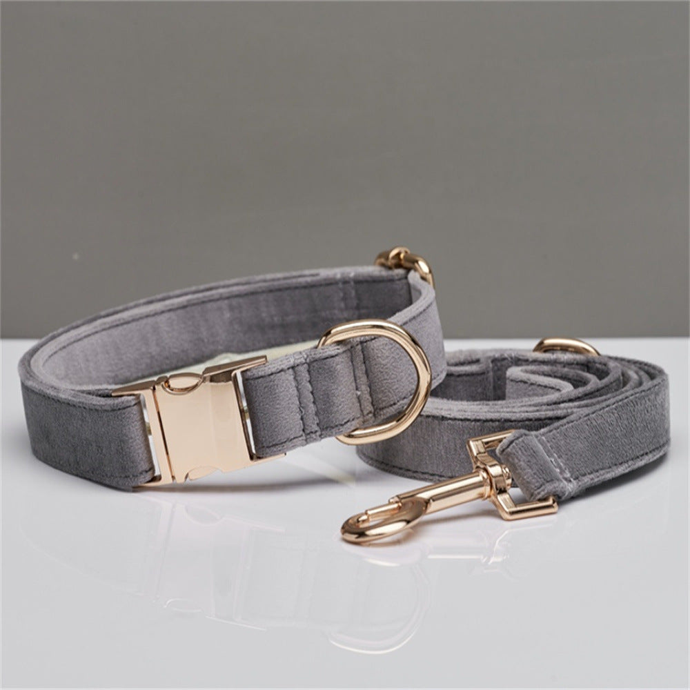 Strong dog collar for everyday walking in Australia