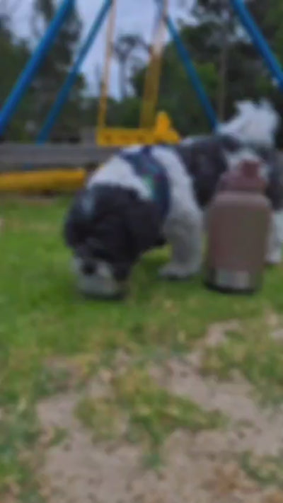 Pawstock 3-in-1 Insulated Dog Water Bottle with Dual Bowls – 1L Stainless Steel Travel Bottle