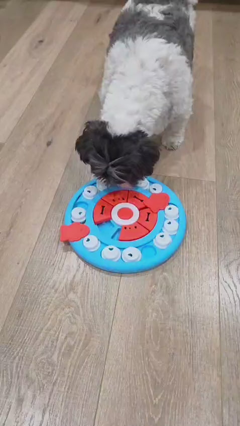 Pizza Puzzle Treat Toy for Dogs and Cats – Interactive Slow Feeder Enrichment Game – Pawstock Australia